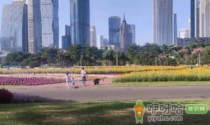 广州12月份平均气温是多少