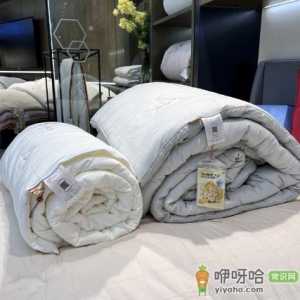 大豆被是白色好还是黄色好