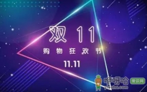 2022年京东双十一的定金可以退吗