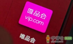 2022年唯品会双十一买的东西发货慢吗