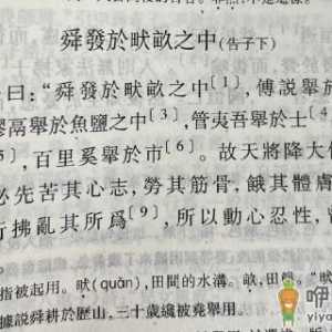 故天将降大任于是人还是斯人