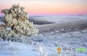2022年立冬温度怎么样