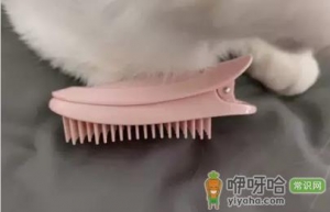 刘海蓬松夹是智商税吗
