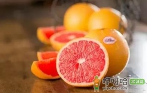 葡萄柚和红心柚哪个好吃