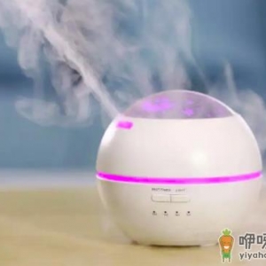 加湿器的雾气能直接吸入肺部吗