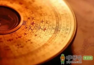 2023年生肖马运势怎么样