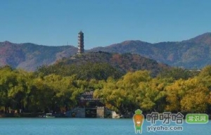 2023北京元旦会堵车吗