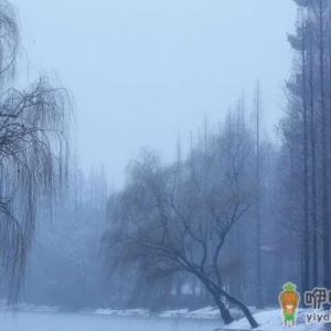 2022小雪节气时成都下雪了吗