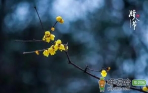 腊八节烧纸好不好