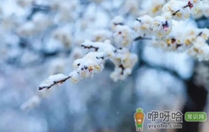 2022年11月份节气到小雪是什么天气