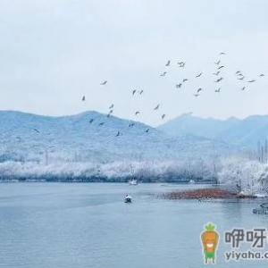 小雪节气温度高会怎样