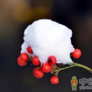 2022小雪这天下雪好还是晴天好