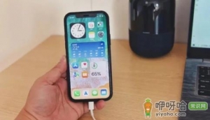 手机电量1%充不进电什么原因