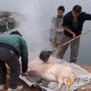 2023年腊月初一杀猪好不好