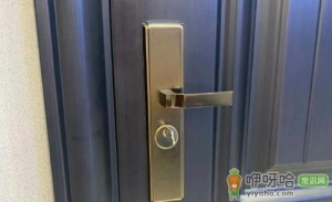 防盗门锁芯自己能换吗