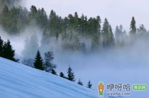 2023小雪节气一定会下雪吗