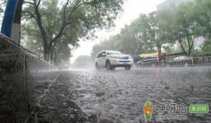 2023年一年的雨水怎么样