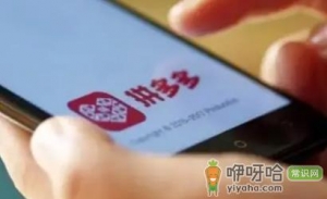 ​拼多多100元终极大奖是什么