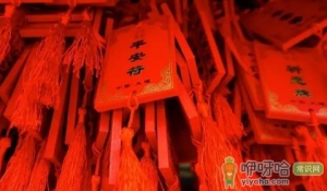 本命年运气差会持续多久