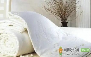 羊绒被能晒太阳吗