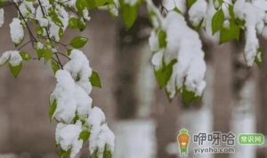 小雪节气不下雪冬天不冷吗