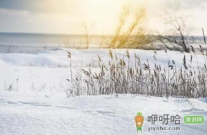 2023数九过完就不冷了吗