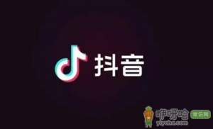 抖音黄v是什么意思