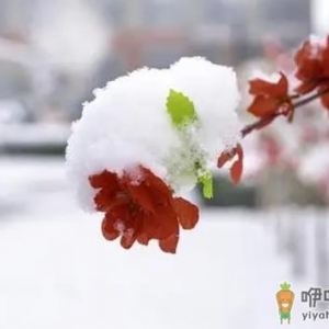 2023双春兼闰月是好年还是坏年