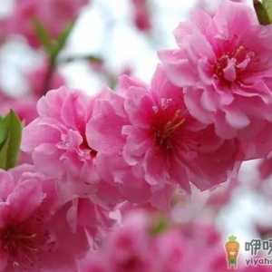 2023双春双雨水的年份是好还是不好