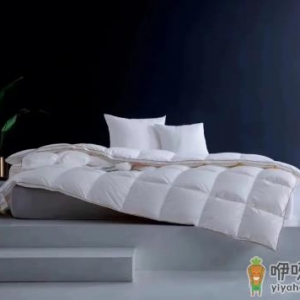 鹅绒被不暖和怎么回事
