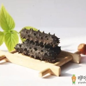 海参为什么越煮越硬