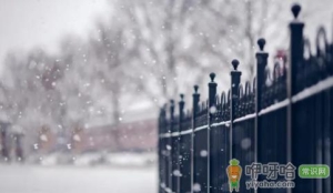 12月份去东北能看见雪吗