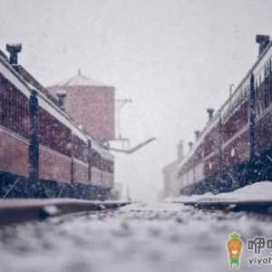 2022年沈阳12月会下雪吗