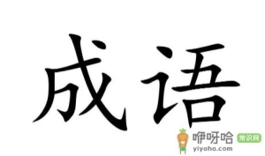 成语大全9000000个不重复简单