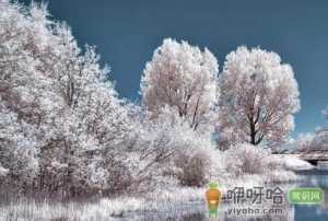 2023大雪节气下雨来年什么兆头