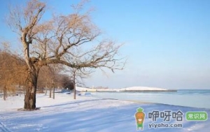 2023年数九到几九开始暖和