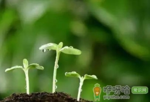 2023年立春后还有零下吗
