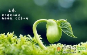 2023​立春之后还要冷多久才能到春天