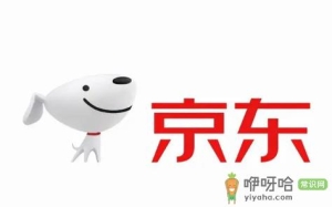 京东省省卡多少钱一个月