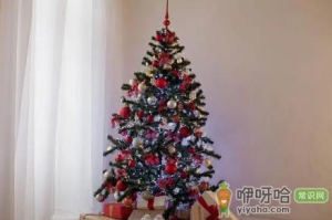 圣诞树一般哪里有卖