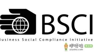 bsci认证需要多少钱