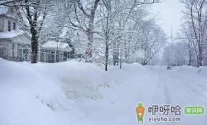2023春节期间去呼和浩特能看到雪吗