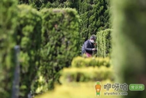 包头2023春节期间公墓能祭奠吗