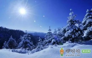 2023数九三九冷还是四九冷
