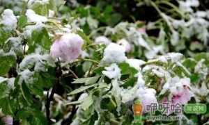 2023武汉春节过后会有倒春寒