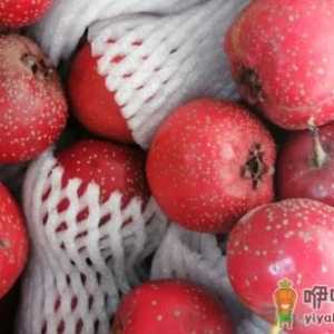 山楂加一物两天瘦8斤是真的吗