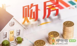 专家称明年房地产或出现报复性反弹真的假的