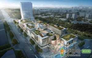 合肥今年春节冷不冷2023
