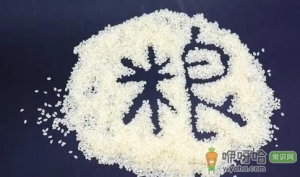 2023千年大旱爆发粮食危机吗