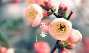 2023立春交运遇见相克属相怎么化解